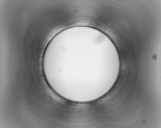 X0000091071423200709041210