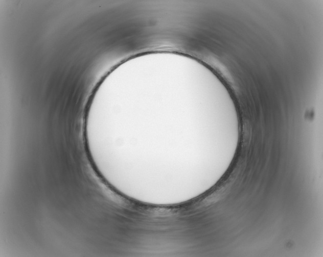 X0000091071424200709041210