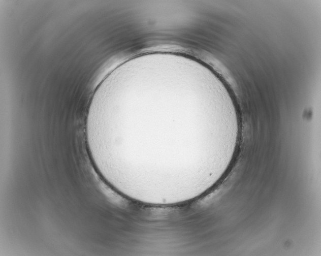 X0000091071425200709041210