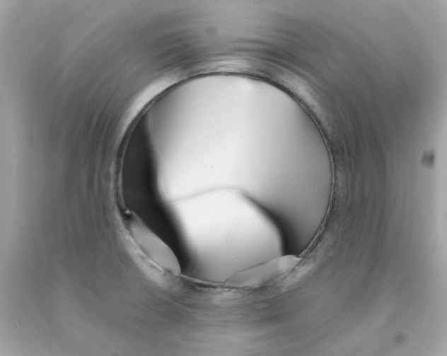X0000091071426200709041210