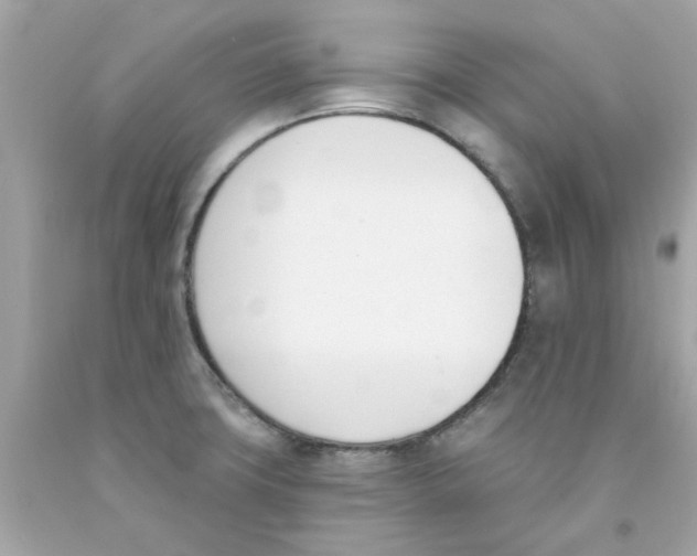 X0000091071427200709041210