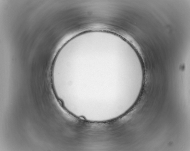 X0000091071429200709041210