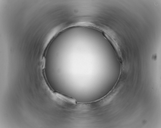 X0000091071430200709041210