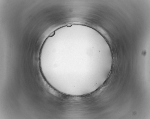 X0000091071431200709041210