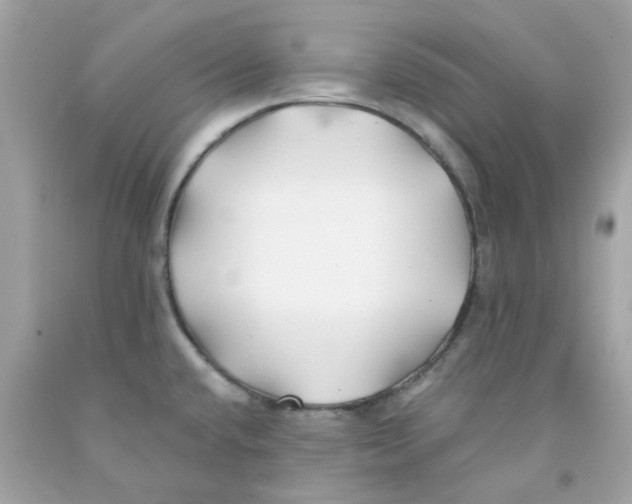 X0000091071432200709041210
