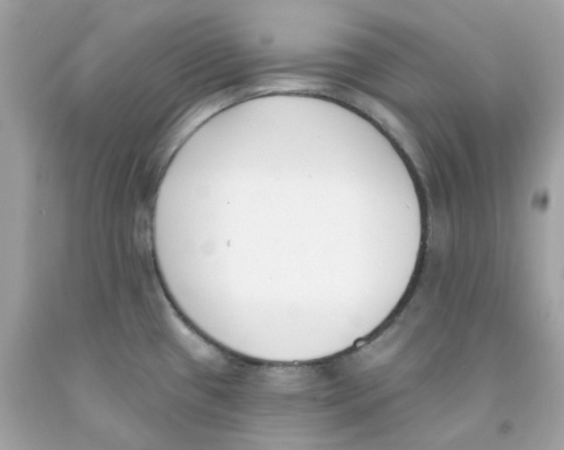 X0000091071433200709041210