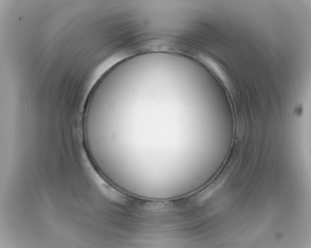 X0000091071434200709041210