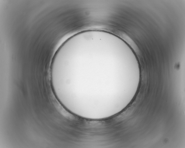 X0000091071436200709041210