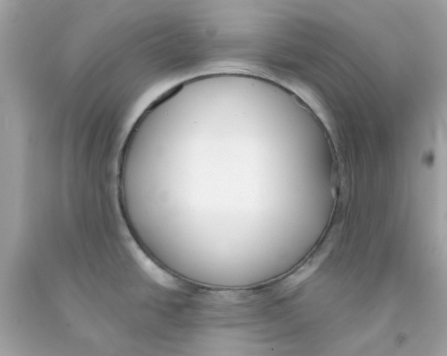 X0000091071438200709041210