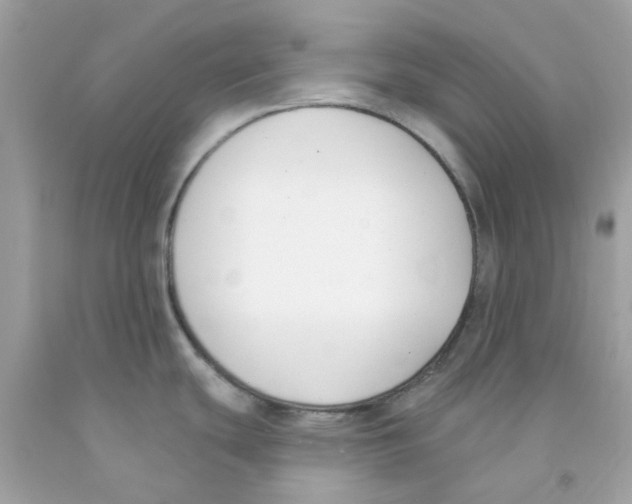 X0000091071439200709041210