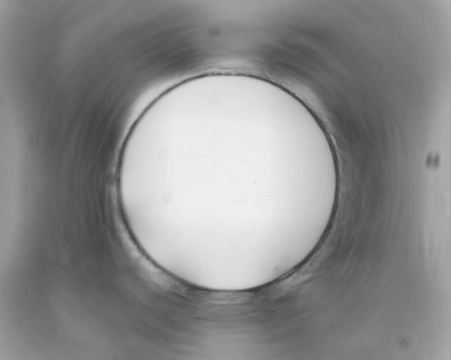 X0000091071440200709041210