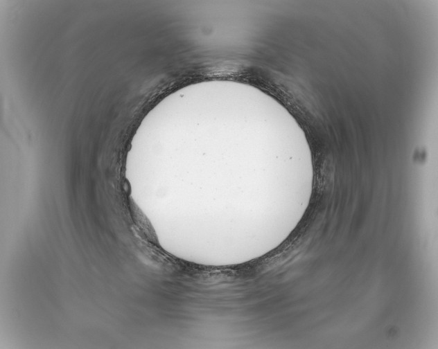 X0000091071441200709041210