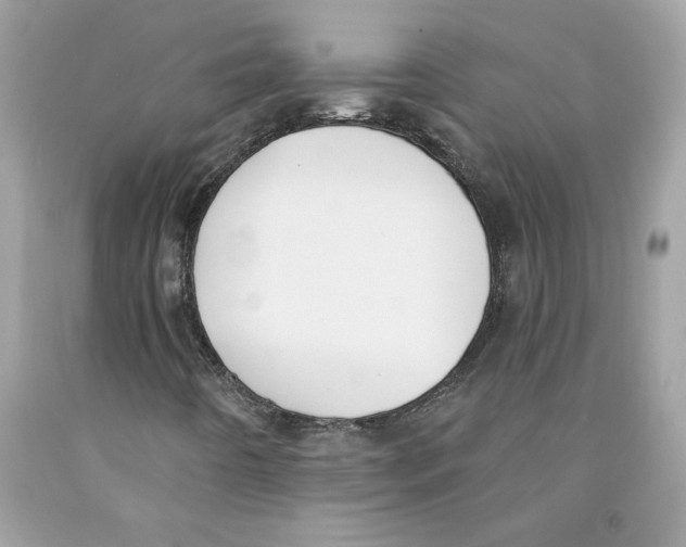 X0000091071442200709041210