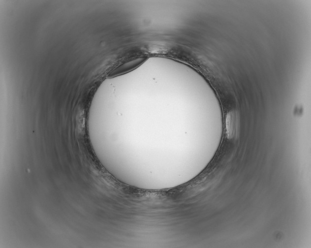 X0000091071443200709041210