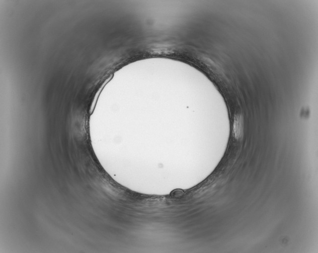 X0000091071444200709041210