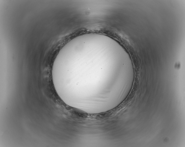 X0000091071445200709041210