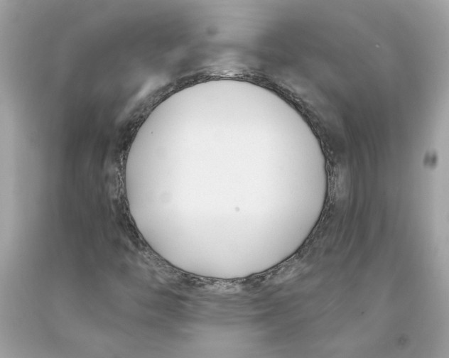 X0000091071446200709041210