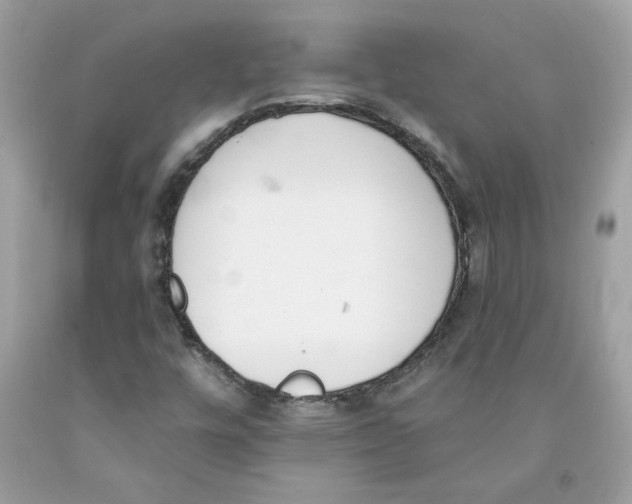 X0000091071448200709041210