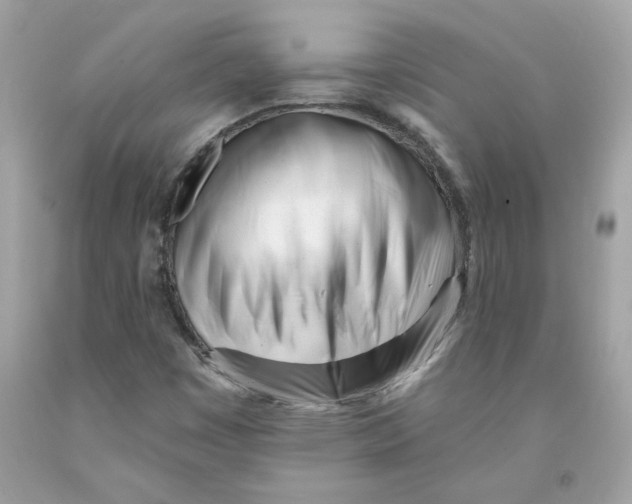 X0000091071449200709041210