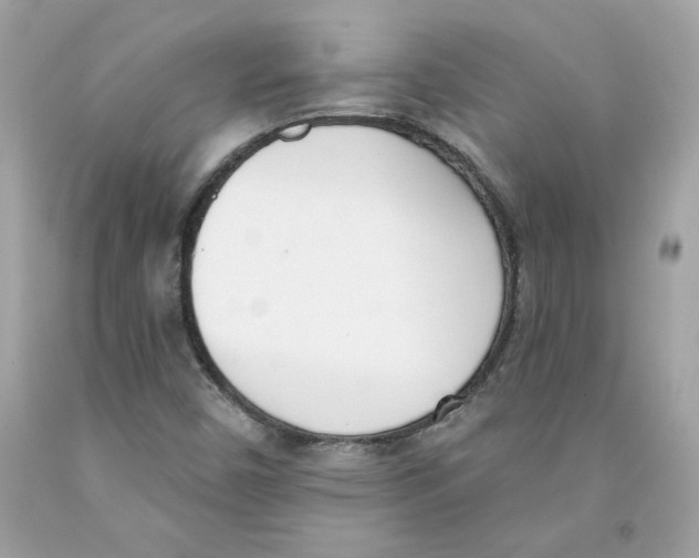 X0000091071450200709041210