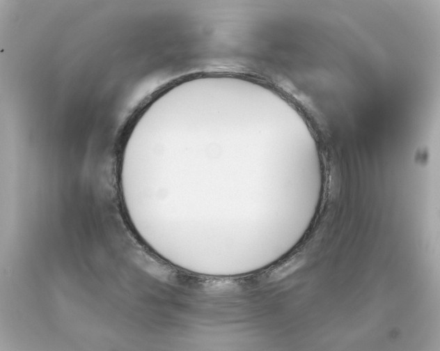 X0000091071454200709041209