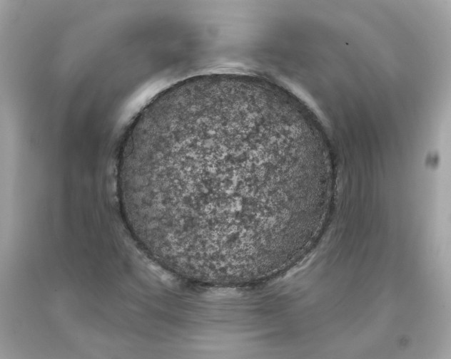 X0000091071455200709041209