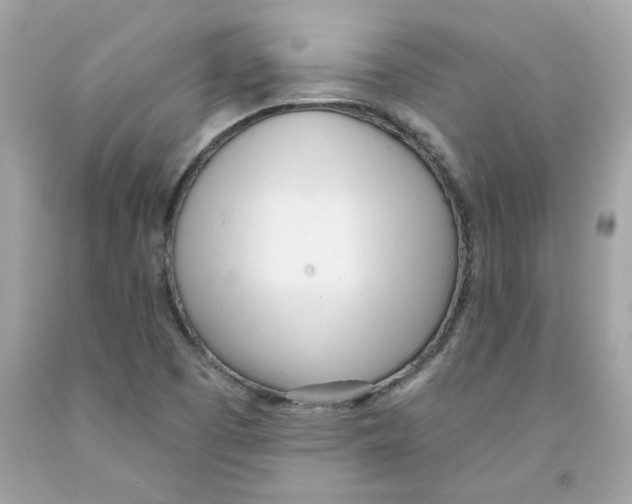 X0000091071457200709041209