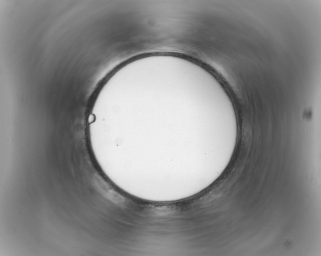 X0000091071460200709041209