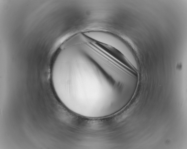 X0000091071461200709041209