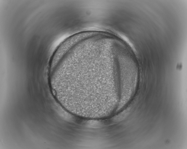 X0000091071463200709041209