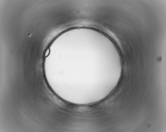 X0000091071464200709041209