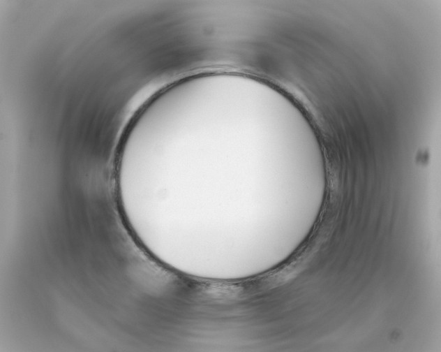 X0000091071466200709041209