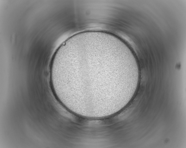 X0000091071467200709041209