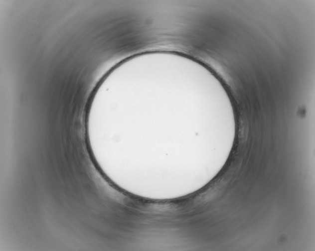 X0000091071468200709041209