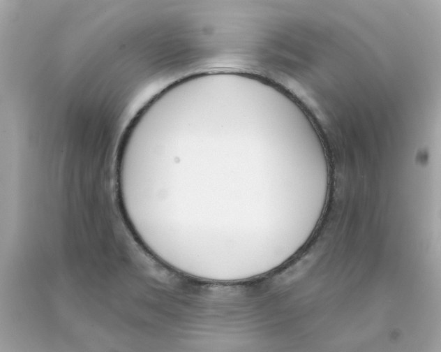 X0000091071469200709041209