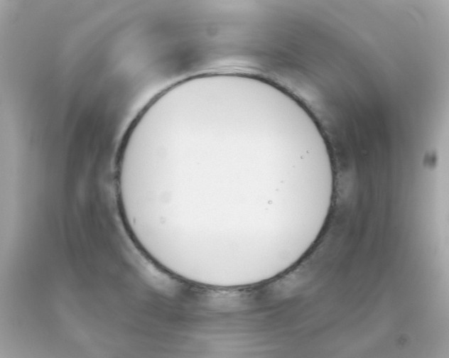 X0000091071470200709041209