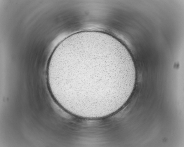 X0000091071471200709041209