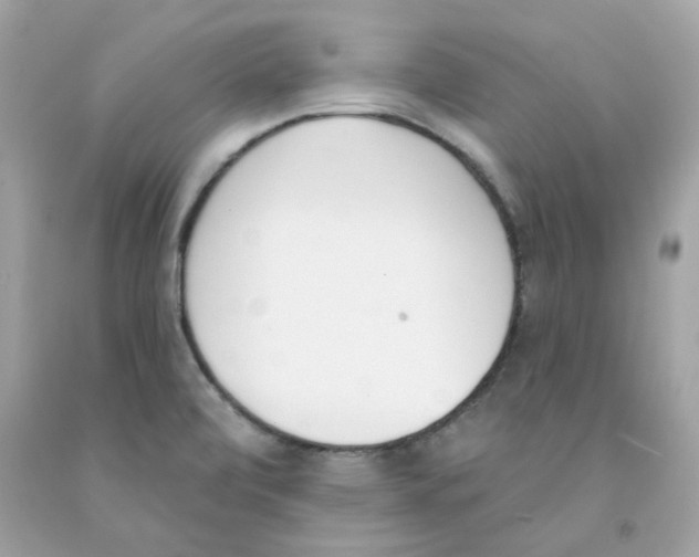 X0000091071472200709041209