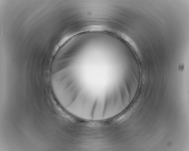 X0000091071473200709041209