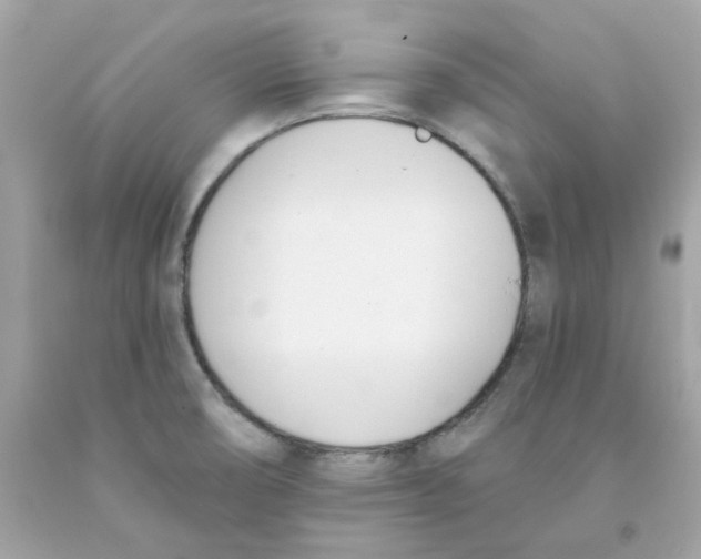 X0000091071474200709041209