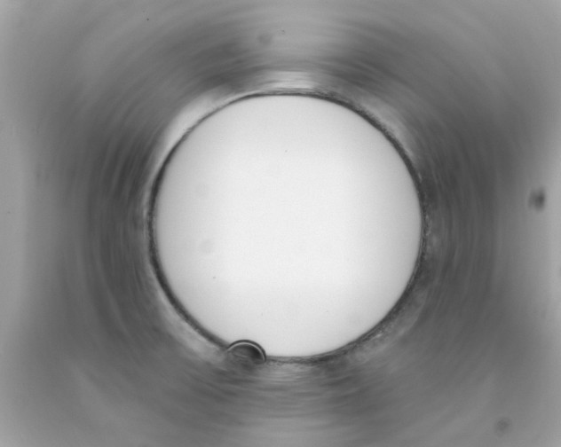 X0000091071475200709041209