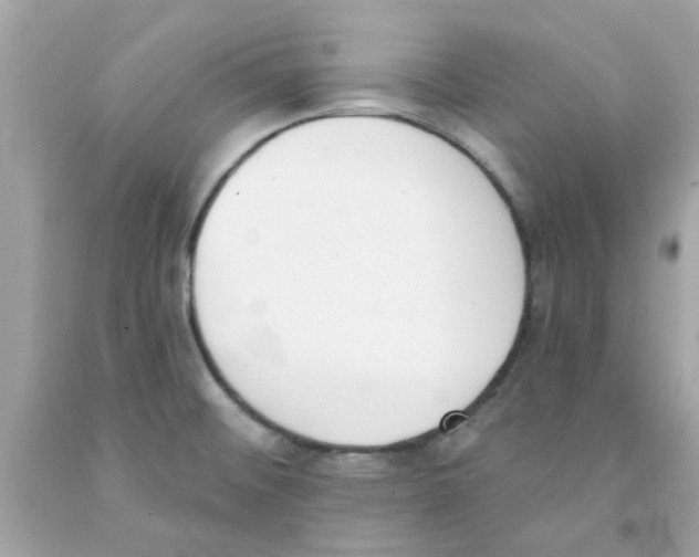 X0000091071476200709041209