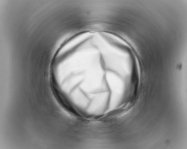 X0000091071477200709041209
