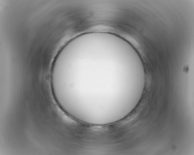 X0000091071478200709041209