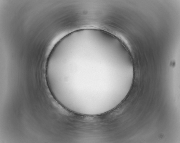 X0000091071480200709041209