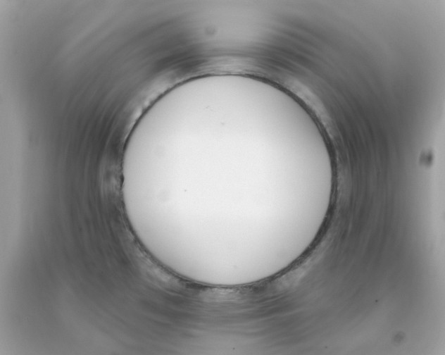 X0000091071481200709041209