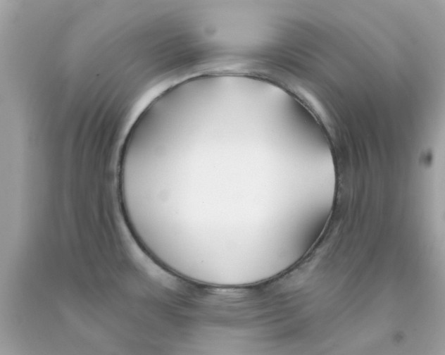 X0000091071483200709041209