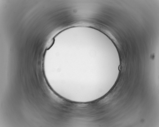 X0000091071484200709041209