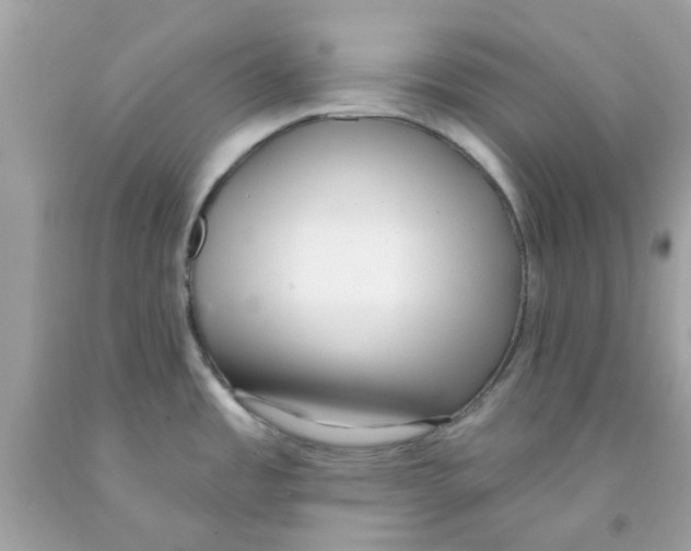 X0000091071485200709041209