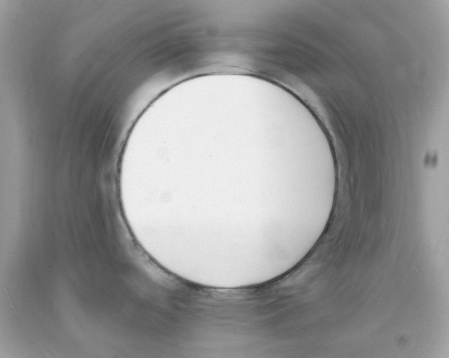 X0000091071488200709041209